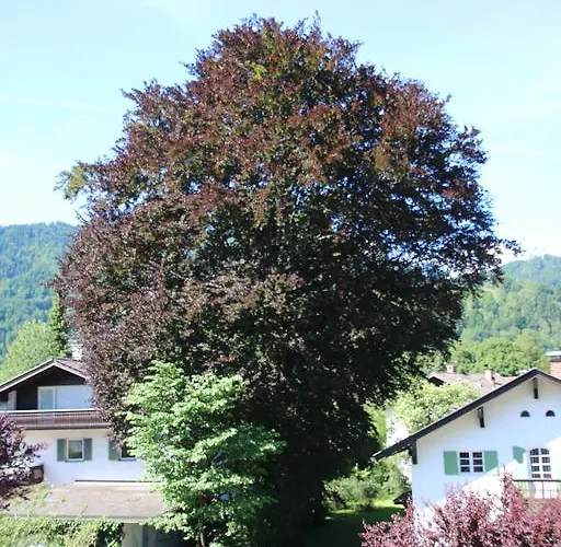 Alpen - Apartmán