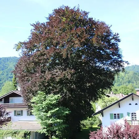 Alpen - Apartment